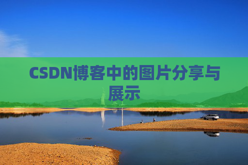 CSDN博客中的图片分享与展示